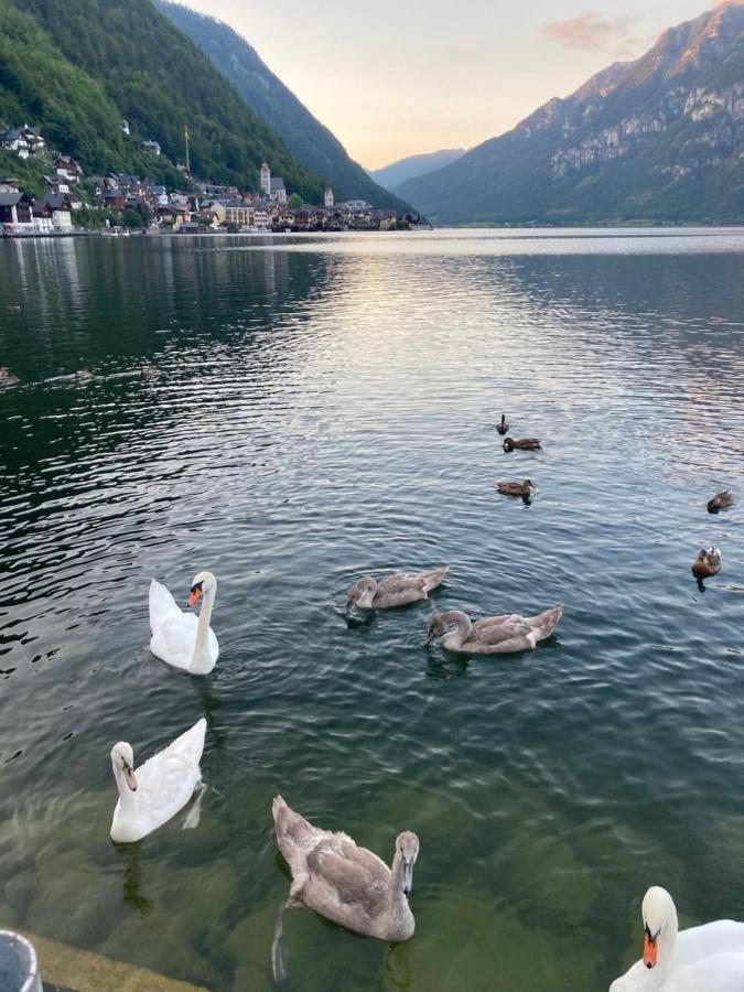 Hallstatt Lakeside Top 4 - Zimmer Mit Balkon Exterior photo